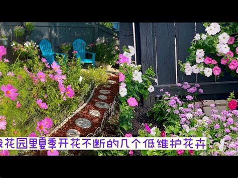 種花|在家裡種什麼花比較好？10種花卉推薦，吉祥、養眼又淨化空氣